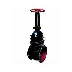 Cast iron Rising Stem Flange Gate Valve