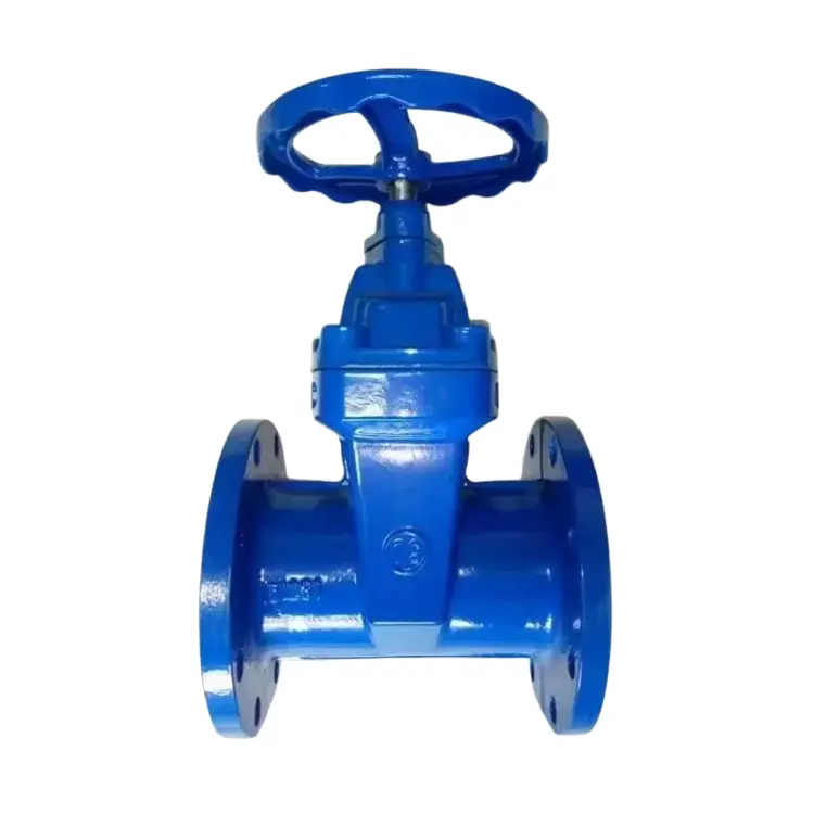 Ductile iron concealed rod soft seal flange gate valve
