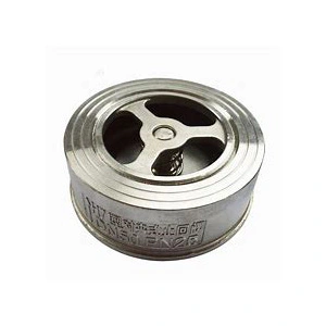 Hindi kinakalawang na asero clamp check valve