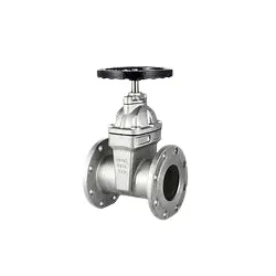 Hindi kinakalawang na asero na nakatago ng soft seal flange gate valve