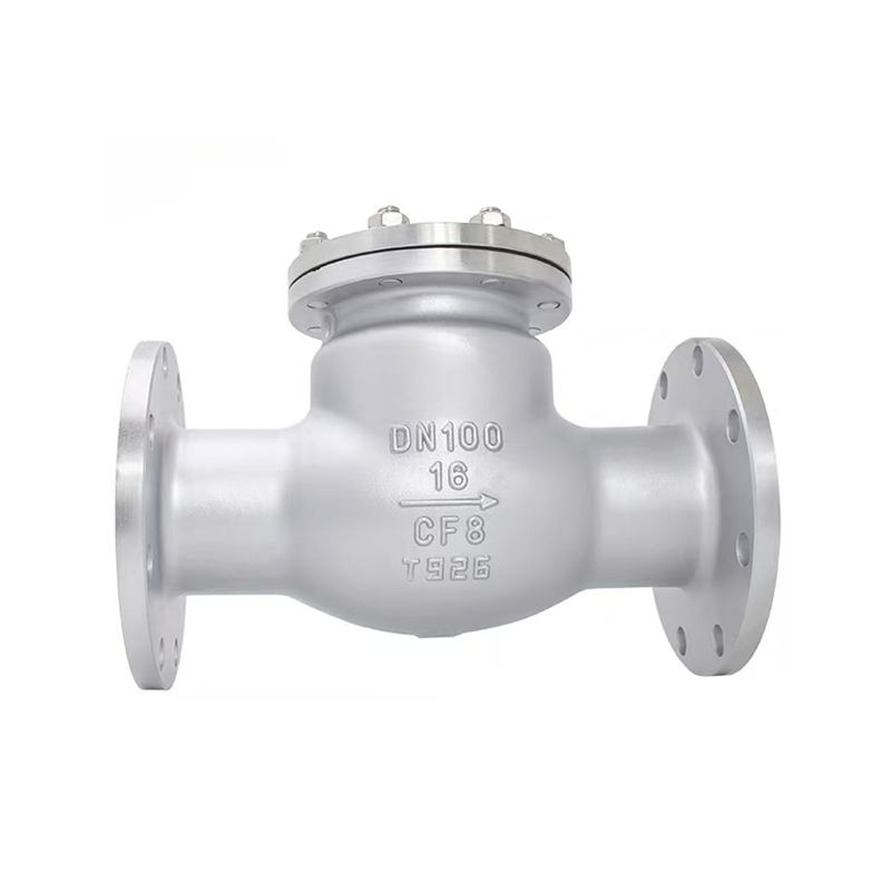 Hindi kinakalawang na asero swing check valve